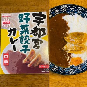 □宇都宮野菜餃子カレー